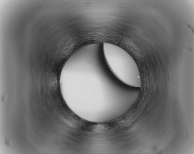 X0000091590320200708200958