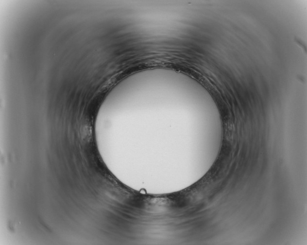 X0000091590324200708200958