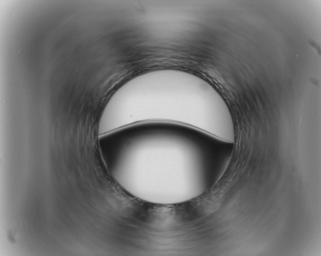 X0000091590325200708200958