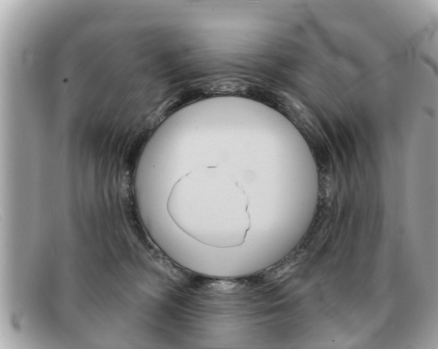 X0000091590326200708200958
