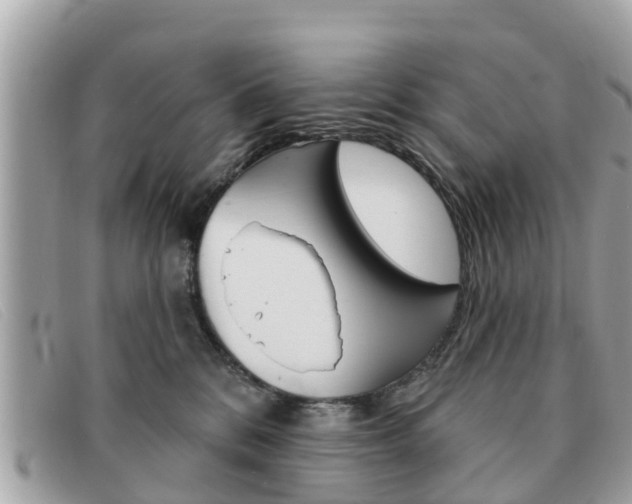 X0000091590328200708200958