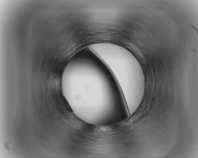 X0000091590329200708200958