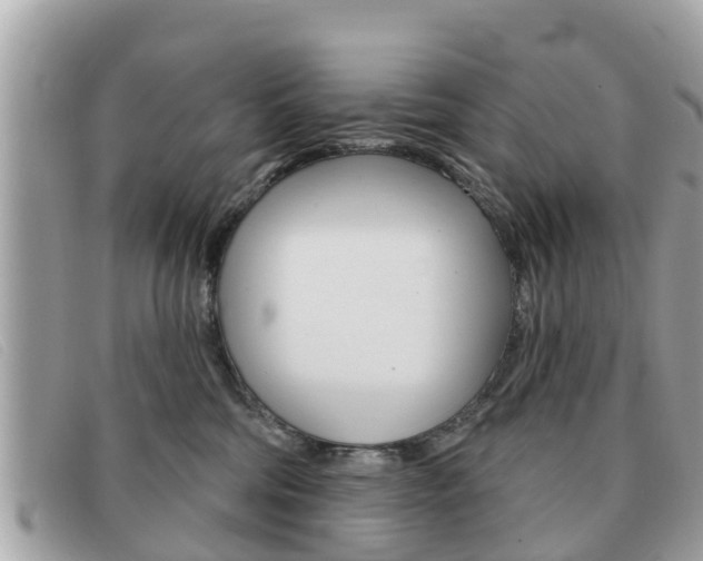 X0000091590330200708200958