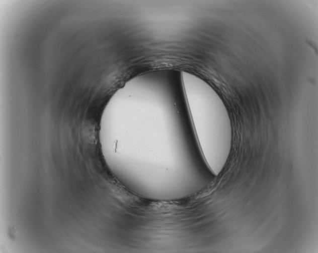 X0000091590331200708200958