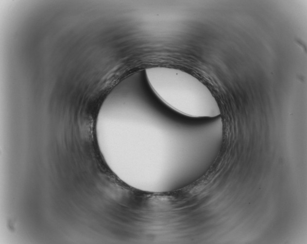 X0000091590332200708200958