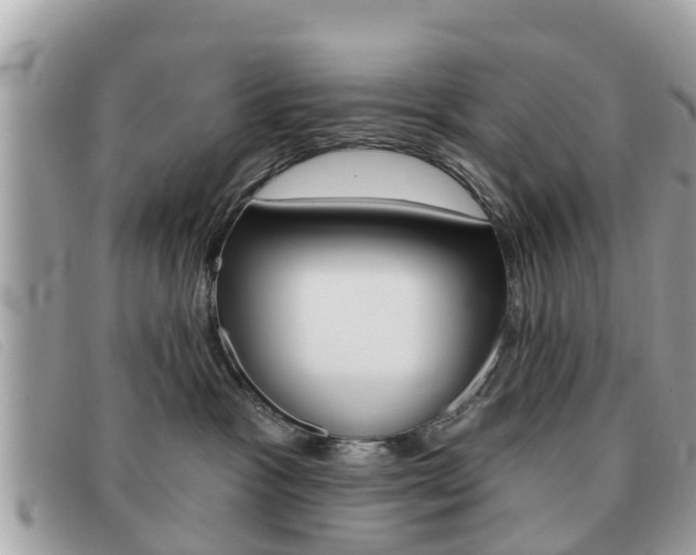 X0000091590333200708200958