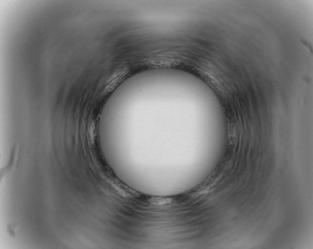 X0000091590334200708200957