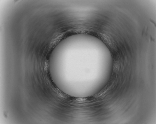 X0000091590335200708200957