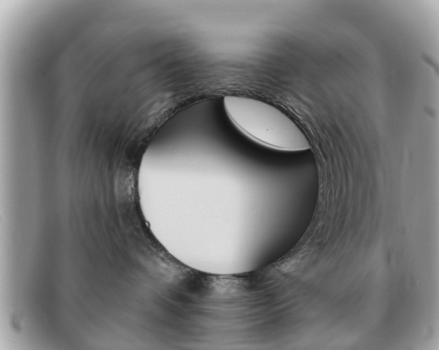X0000091590336200708200957