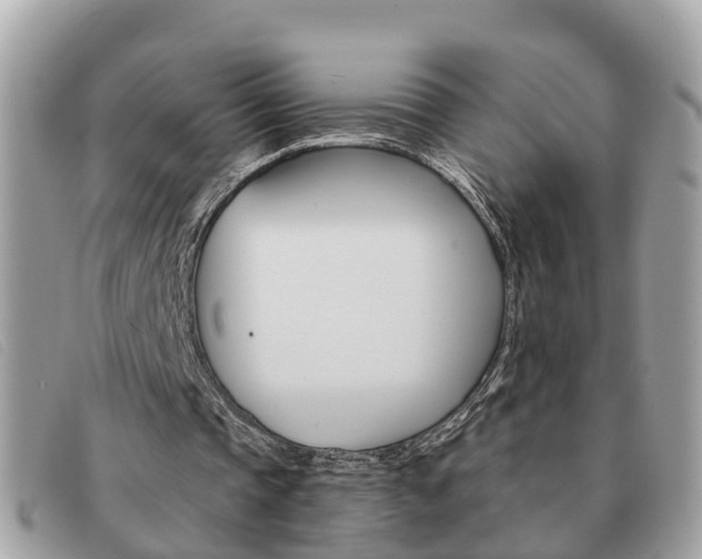X0000091590337200708200957