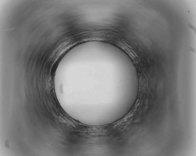 X0000091590338200708200957