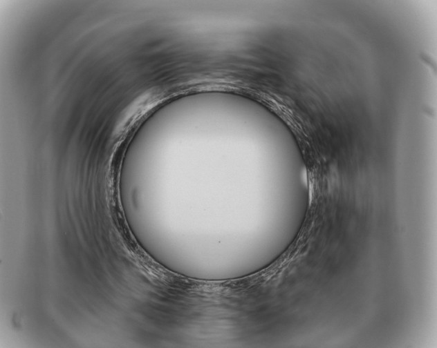 X0000091590339200708200957