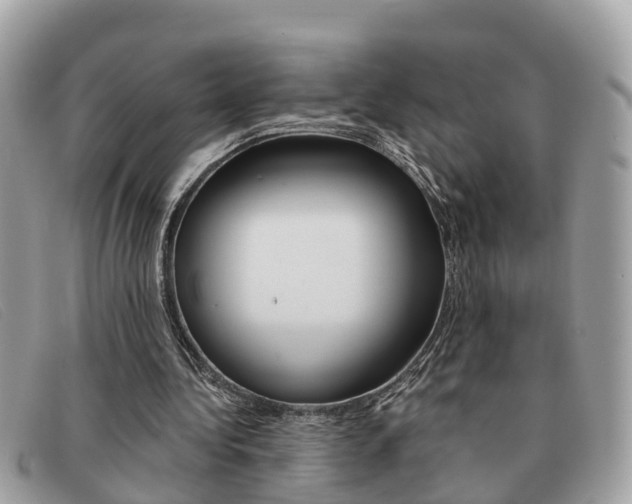 X0000091590340200708200957