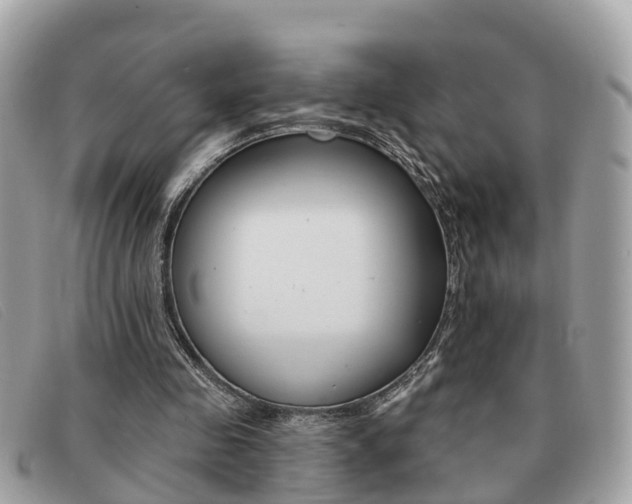 X0000091590341200708200957