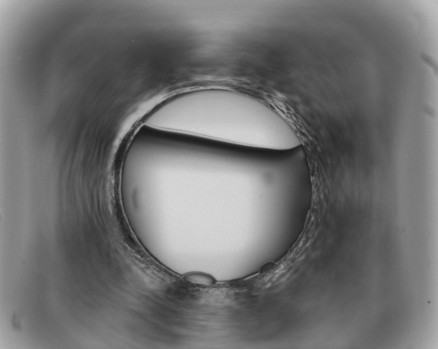 X0000091590342200708200957