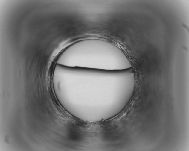 X0000091590343200708200957