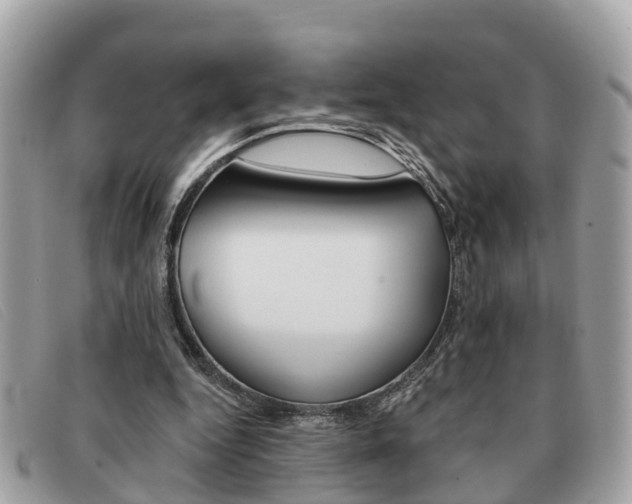X0000091590344200708200957