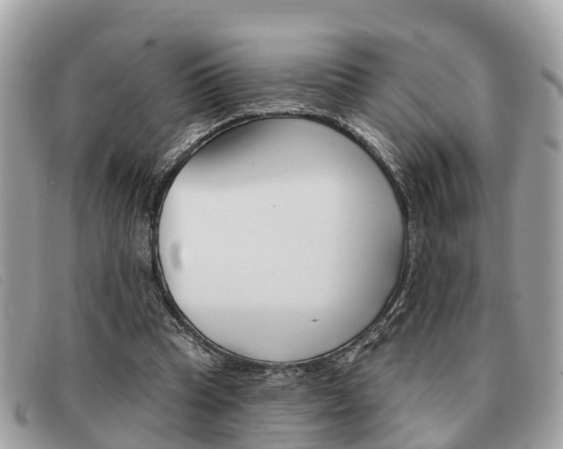 X0000091590345200708200957