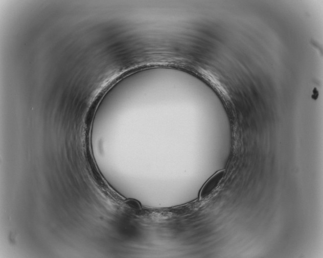X0000091590346200708200957