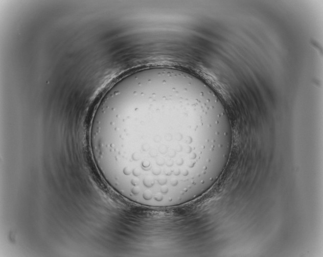 X0000091590347200708200957