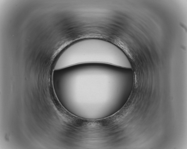 X0000091590348200708200957