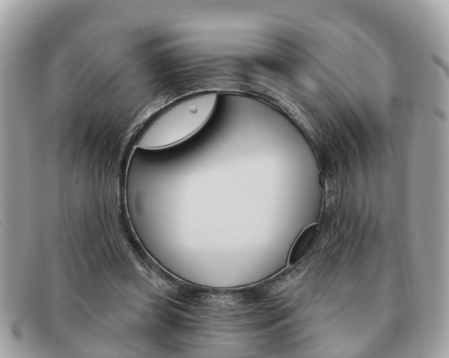 X0000091590349200708200957