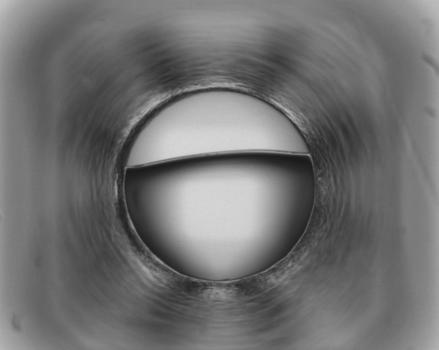 X0000091590350200708200957