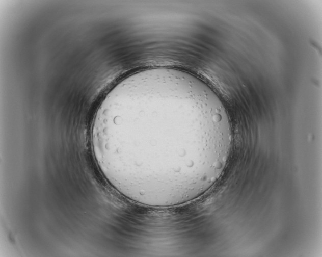 X0000091590351200708200957