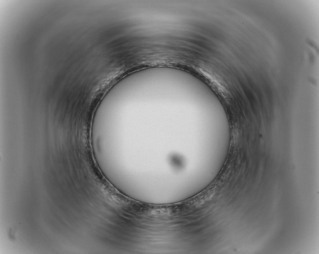 X0000091590353200708200957