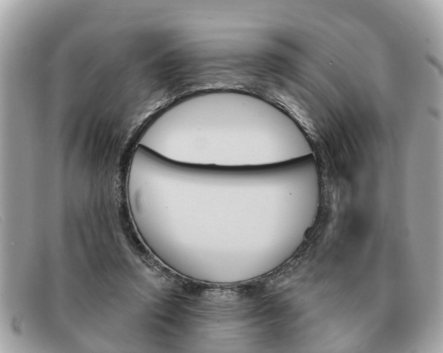 X0000091590354200708200957