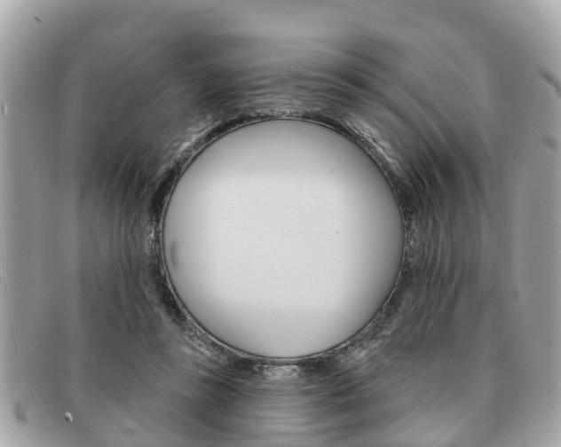 X0000091590355200708200957