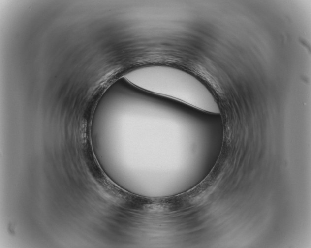 X0000091590356200708200957