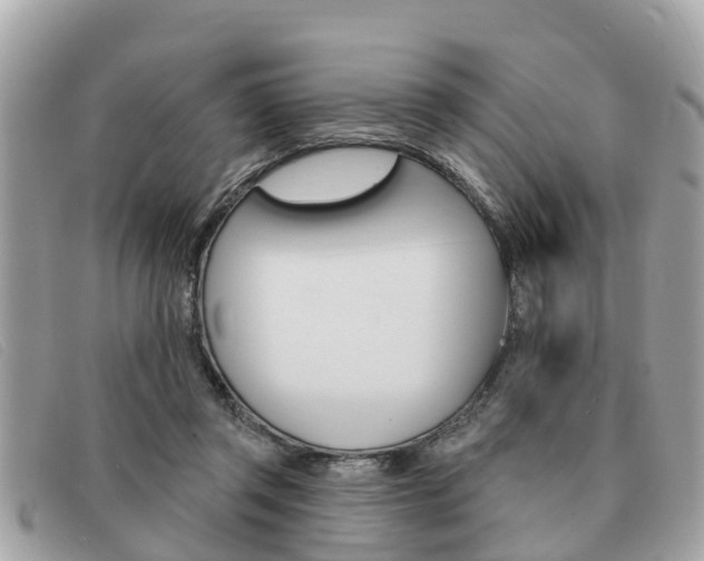 X0000091590357200708200957