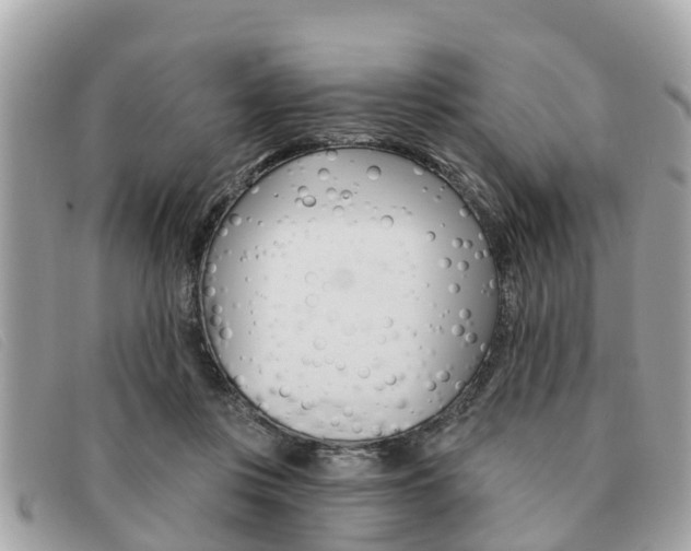 X0000091590359200708200957
