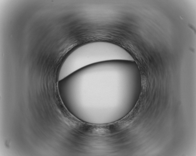 X0000091590360200708200957