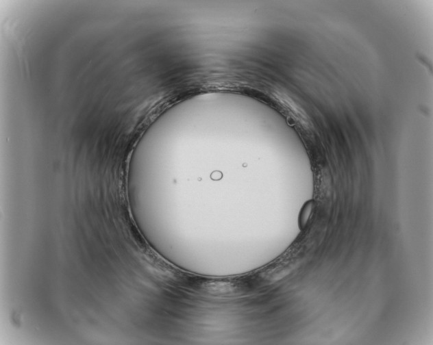 X0000091590361200708200957