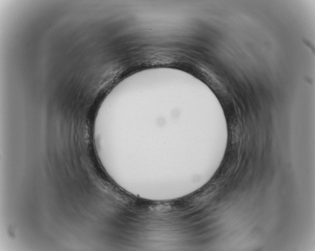 X0000091590362200708200957