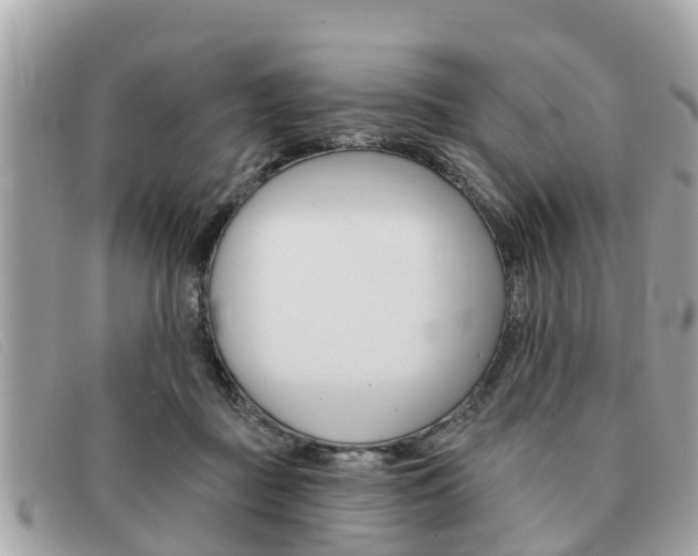 X0000091590363200708200957