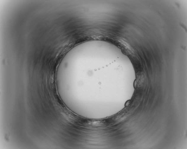 X0000091590365200708200957