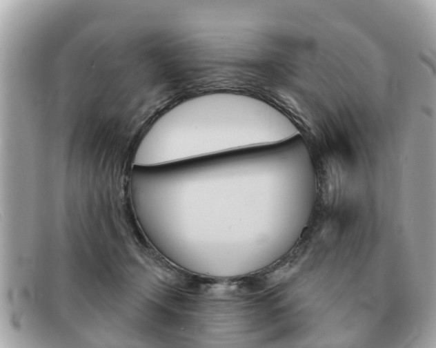 X0000091590366200708200957
