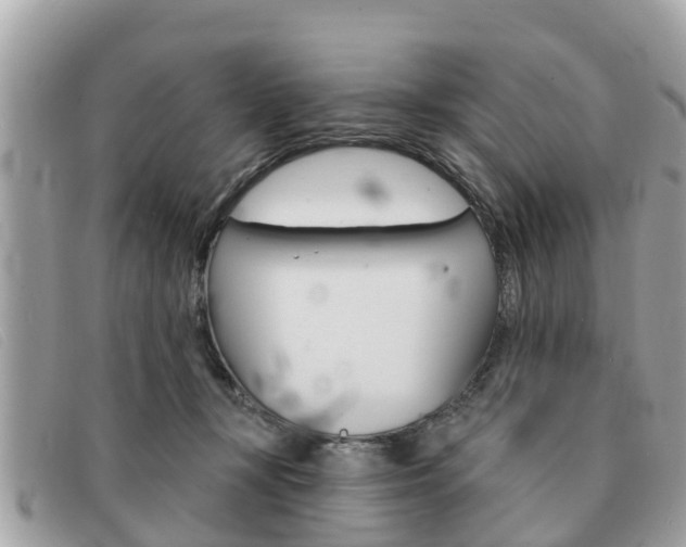 X0000091590367200708200957