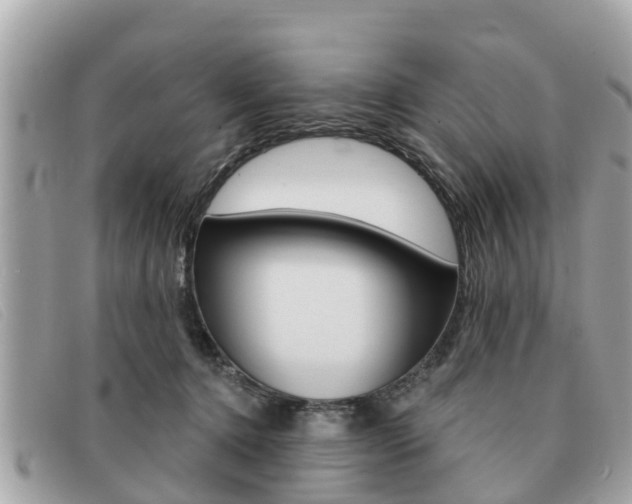 X0000091590368200708200957