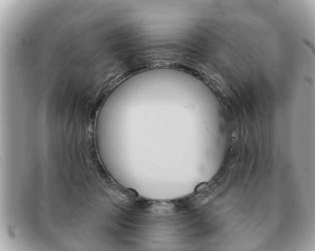 X0000091590369200708200957