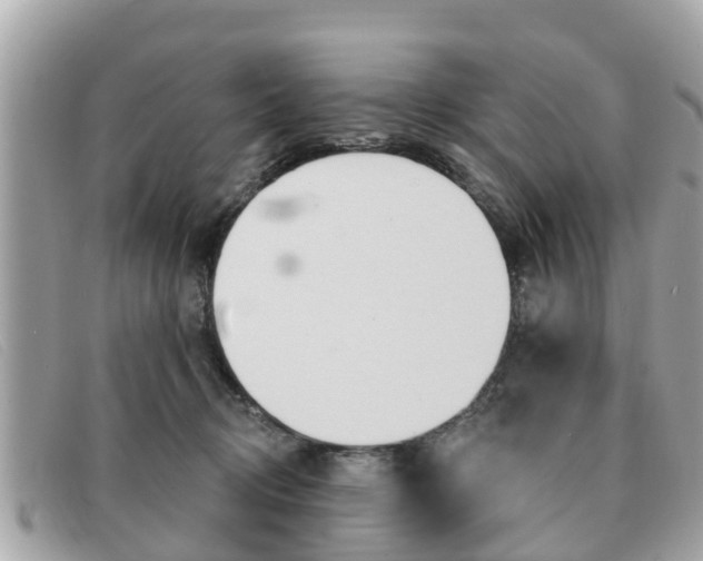 X0000091590370200708200957