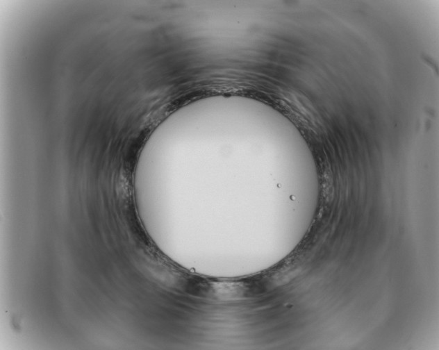 X0000091590371200708200957