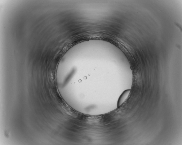X0000091590373200708200957