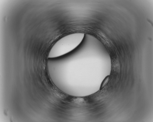 X0000091590374200708200957