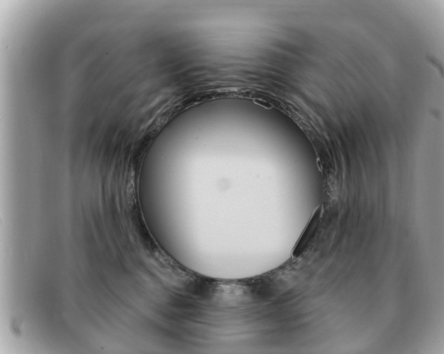 X0000091590376200708200957