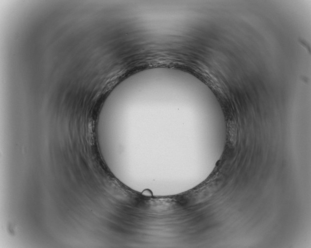 X0000091590378200708200957