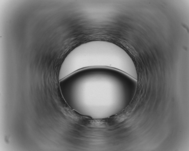 X0000091590380200708200957